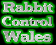 Rabbit Control Wales 376786 Image 0